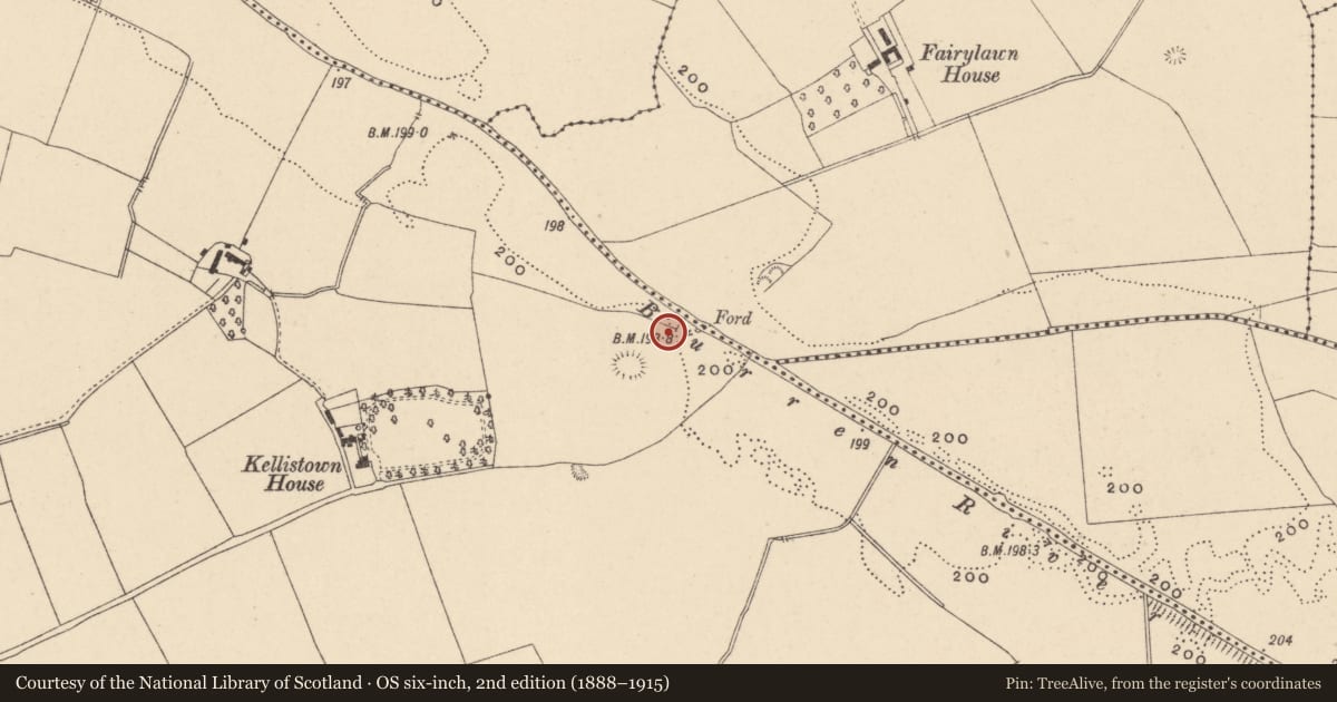 Ordnance Survey six-inch map, 2nd edition (1888–1915) covering the location of Fulacht fia, Kellistown East, County Carlow, with a pin at the register's coordinates
