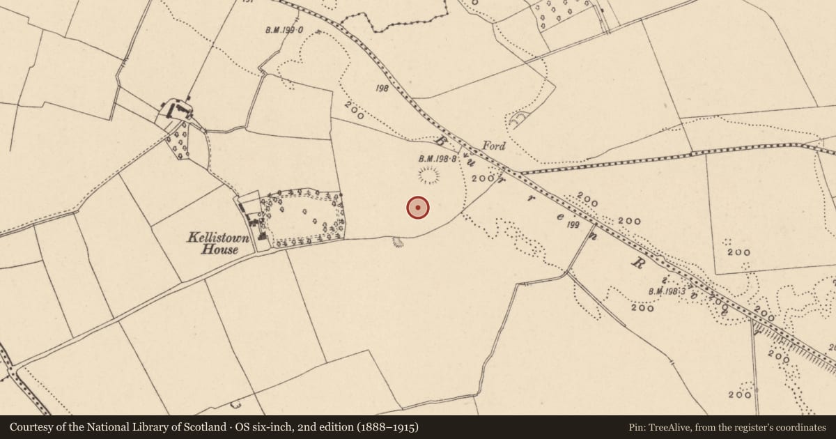 Ordnance Survey six-inch map, 2nd edition (1888–1915) covering the location of Enclosure - large enclosure, Kellistown East, County Carlow, with a pin at the register's coordinates