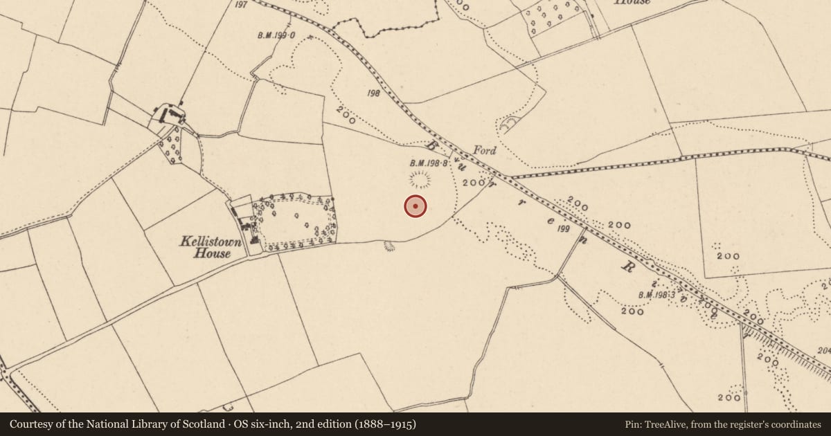 Ordnance Survey six-inch map, 2nd edition (1888–1915) covering the location of Enclosure, Kellistown East, County Carlow, with a pin at the register's coordinates