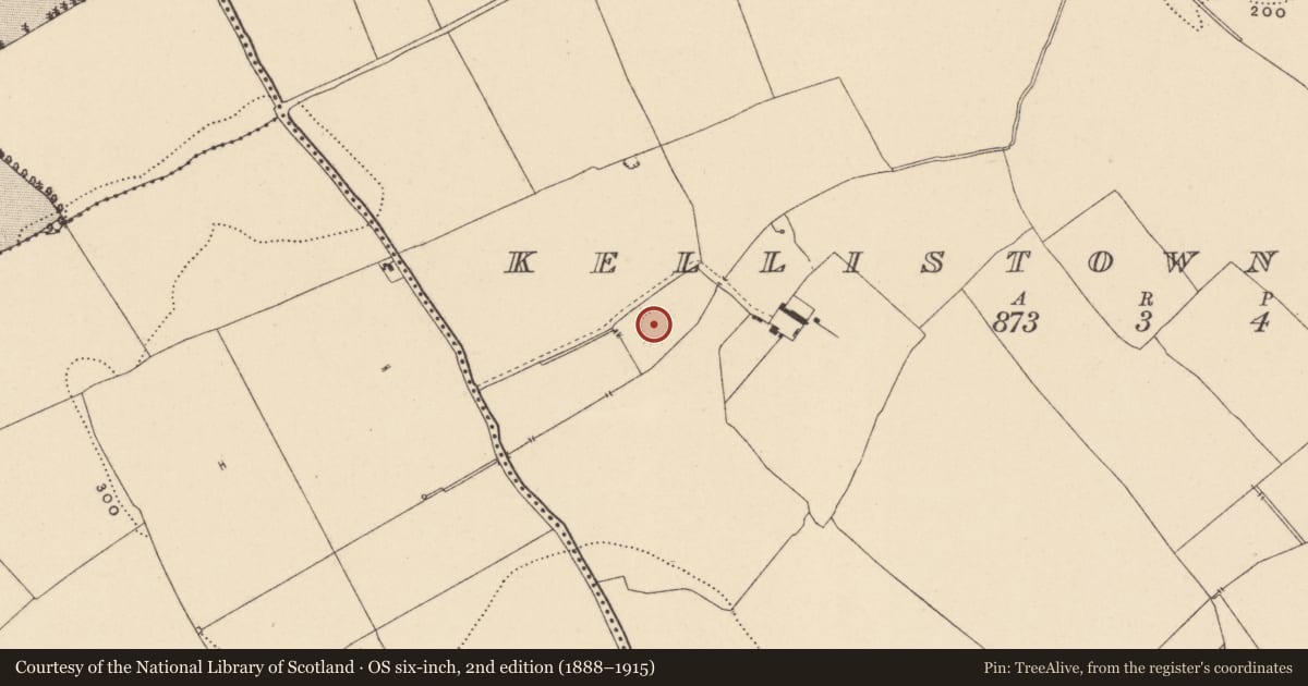 Ordnance Survey six-inch map, 2nd edition (1888–1915) covering the location of Enclosure, Kellistown East, County Carlow, with a pin at the register's coordinates