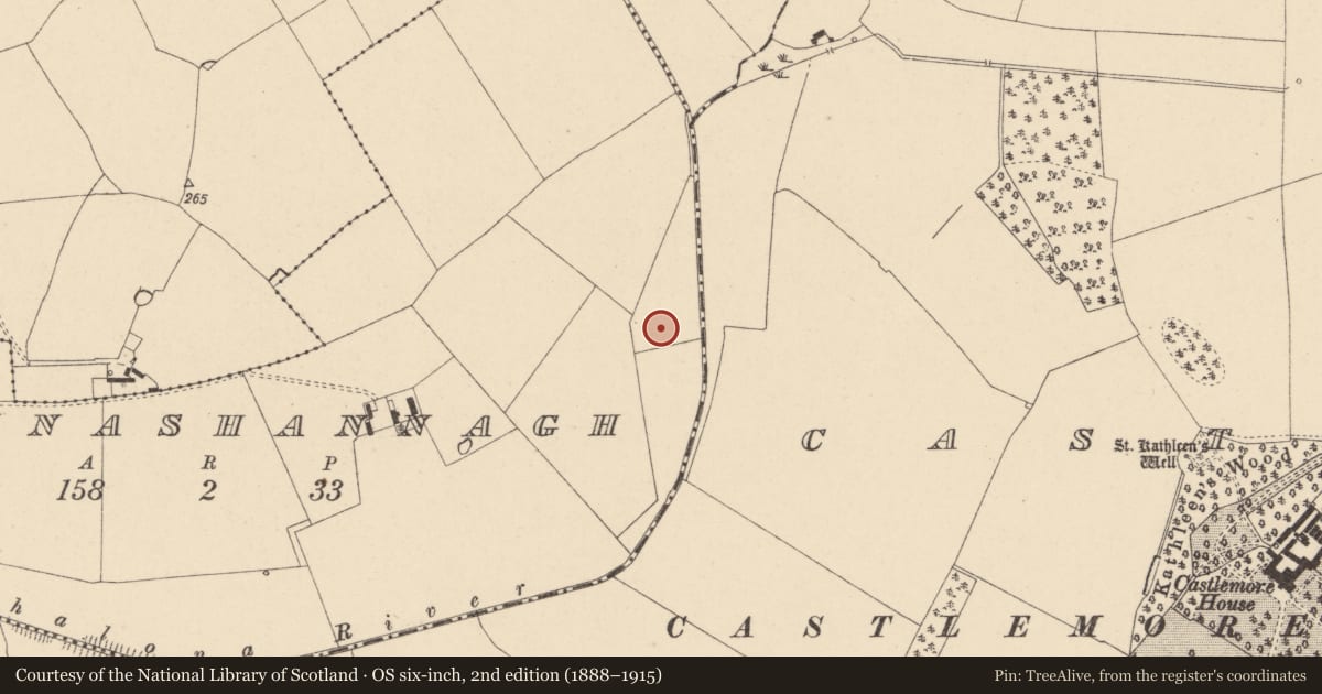 Ordnance Survey six-inch map, 2nd edition (1888–1915) covering the location of Enclosure, Rathnashannagh, County Carlow, with a pin at the register's coordinates