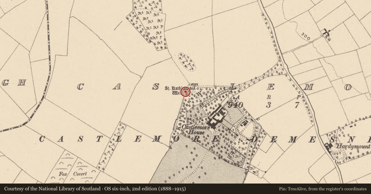 Ordnance Survey six-inch map, 2nd edition (1888–1915) covering the location of Ritual site - holy well, Castlemore, County Carlow, with a pin at the register's coordinates
