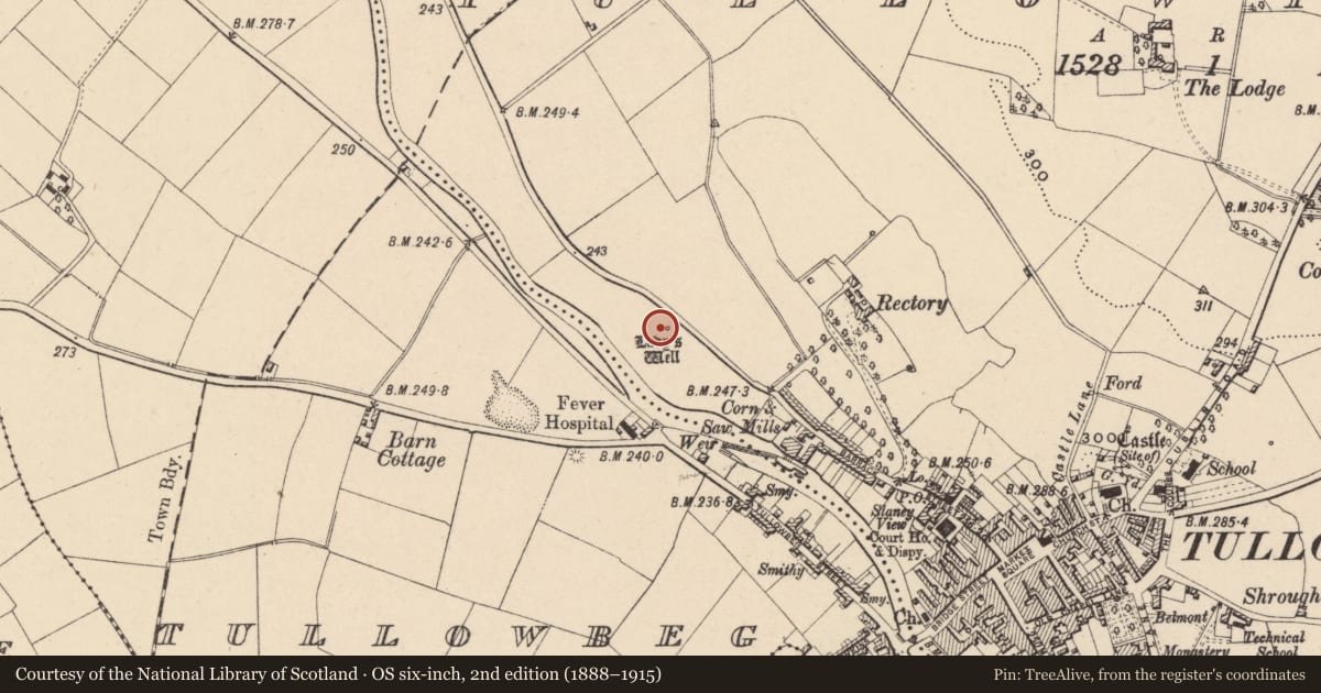 Ordnance Survey six-inch map, 2nd edition (1888–1915) covering the location of Ritual site - holy well, Tullowphelim, County Carlow, with a pin at the register's coordinates