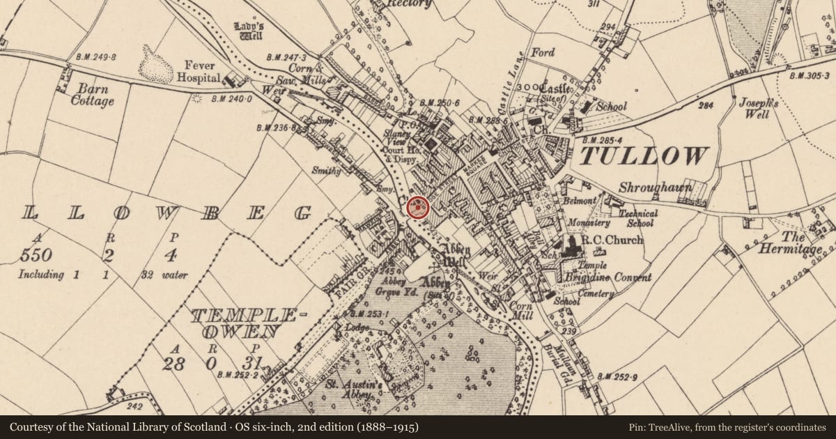 Ordnance Survey six-inch map, 2nd edition (1888–1915) covering the location of Historic town, County Carlow, with a pin at the register's coordinates