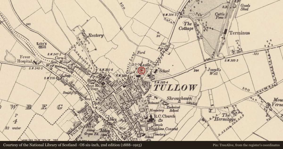 Ordnance Survey six-inch map, 2nd edition (1888–1915) covering the location of Castle - motte, Tullowphelim, County Carlow, with a pin at the register's coordinates