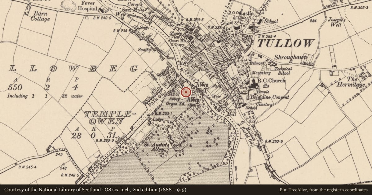 Ordnance Survey six-inch map, 2nd edition (1888–1915) covering the location of Graveyard, Tullowbeg, County Carlow, with a pin at the register's coordinates