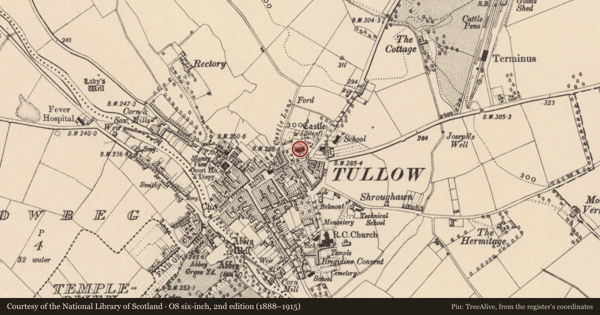 Ordnance Survey six-inch map, 2nd edition (1888–1915) covering the location of Church, Tullowphelim, County Carlow, with a pin at the register's coordinates