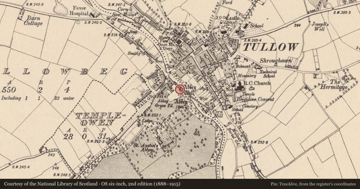 Ordnance Survey six-inch map, 2nd edition (1888–1915) covering the location of Ritual site - holy well, Tullowbeg, County Carlow, with a pin at the register's coordinates