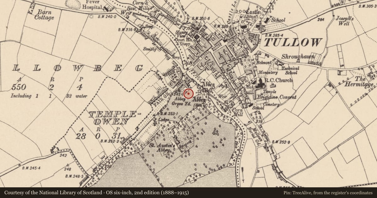 Ordnance Survey six-inch map, 2nd edition (1888–1915) covering the location of Cross, Tullowbeg, County Carlow, with a pin at the register's coordinates