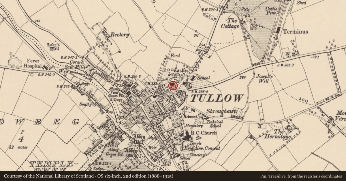 Ordnance Survey six-inch map, 2nd edition (1888–1915) covering the location of Graveslab, Tullowphelim, County Carlow, with a pin at the register's coordinates
