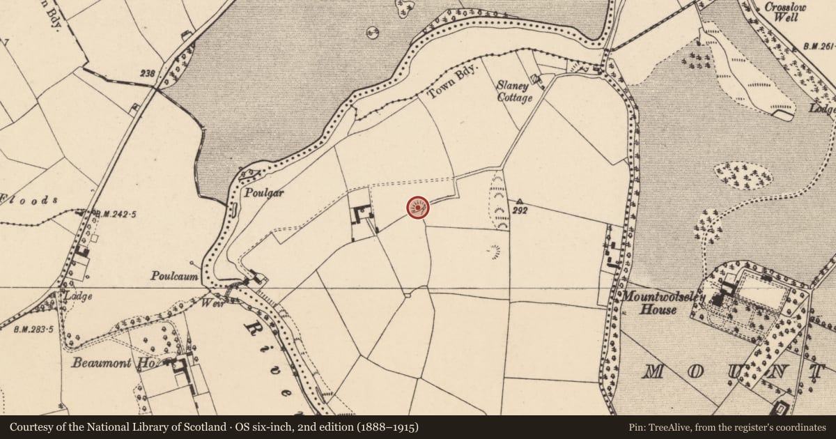 Ordnance Survey six-inch map, 2nd edition (1888–1915) covering the location of Kiln - lime, Ouragh, County Carlow, with a pin at the register's coordinates