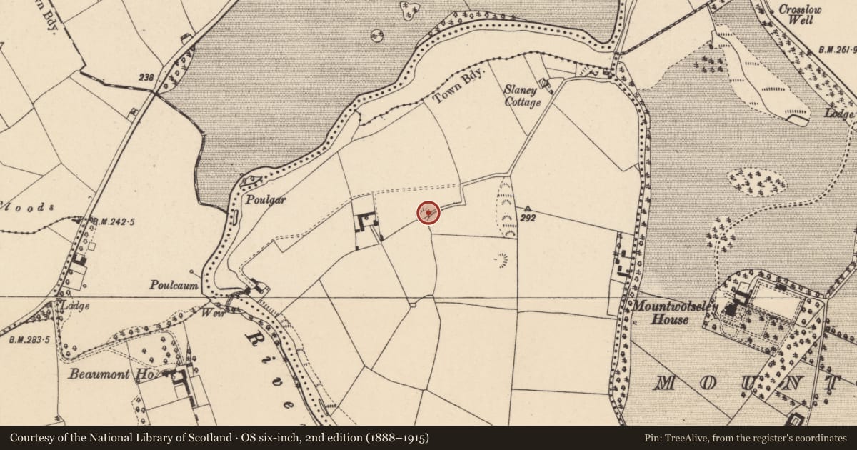 Ordnance Survey six-inch map, 2nd edition (1888–1915) covering the location of Kiln - lime, Ouragh, County Carlow, with a pin at the register's coordinates