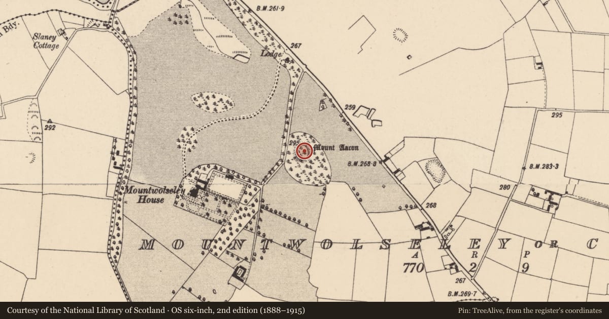 Ordnance Survey six-inch map, 2nd edition (1888–1915) covering the location of Mound, Mountwolseley Or Crosslow, County Carlow, with a pin at the register's coordinates