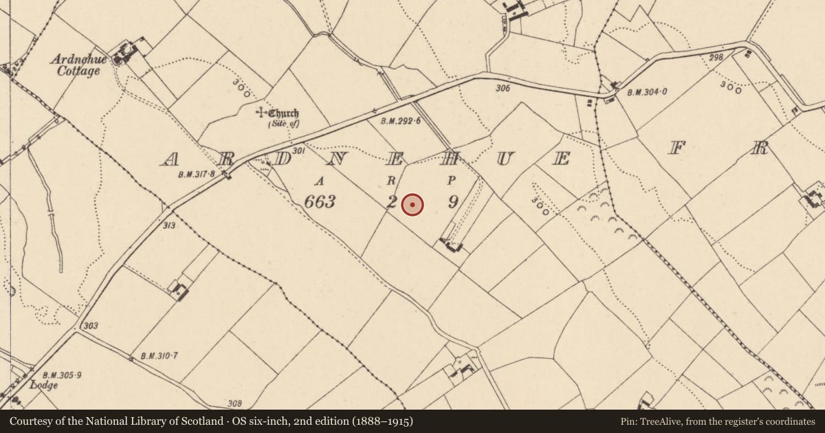 Ordnance Survey six-inch map, 2nd edition (1888–1915) covering the location of Habitation site, Ardnehue, County Carlow, with a pin at the register's coordinates