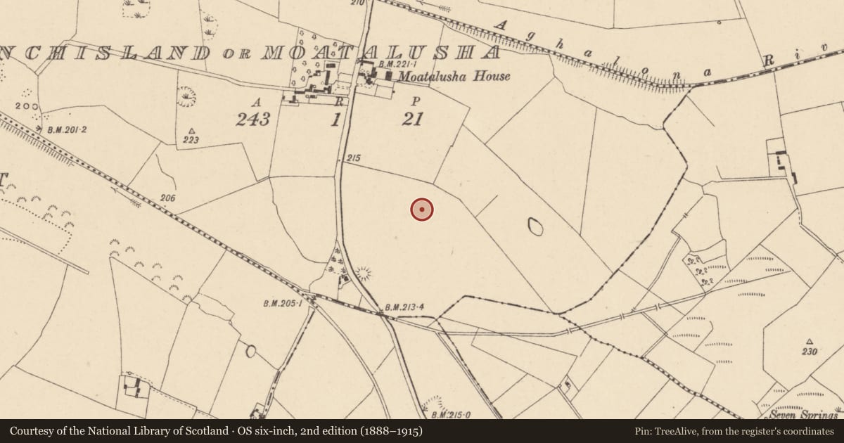 Ordnance Survey six-inch map, 2nd edition (1888–1915) covering the location of Field system, Inchisland Or Moatalusha, County Carlow, with a pin at the register's coordinates