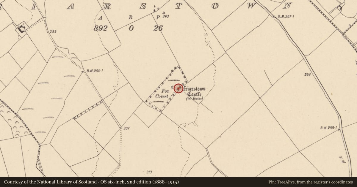 Ordnance Survey six-inch map, 2nd edition (1888–1915) covering the location of Bullaun stone, Friarstown, County Carlow, with a pin at the register's coordinates
