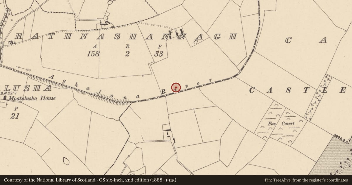Ordnance Survey six-inch map, 2nd edition (1888–1915) covering the location of Ringfort - rath, Rathnashannagh, County Carlow, with a pin at the register's coordinates