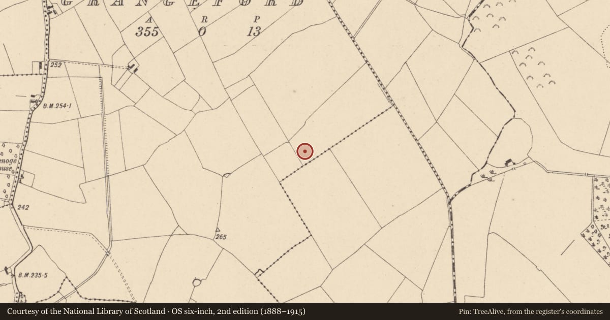 Ordnance Survey six-inch map, 2nd edition (1888–1915) covering the location of Enclosure, Grangeford, County Carlow, with a pin at the register's coordinates