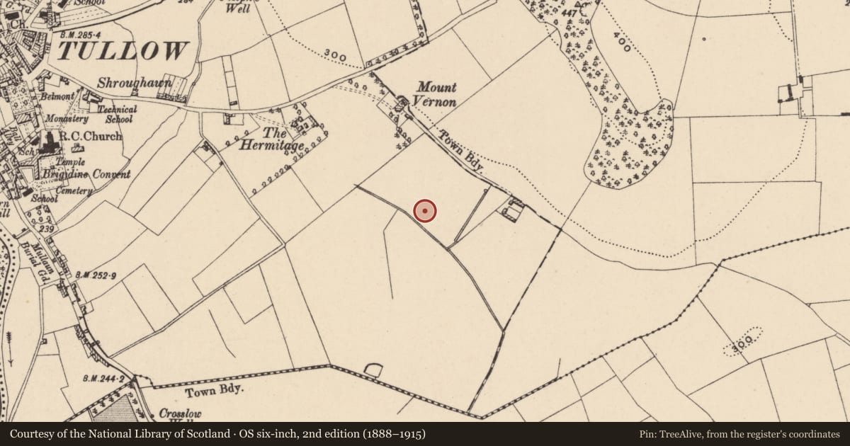 Ordnance Survey six-inch map, 2nd edition (1888–1915) covering the location of Enclosure, Tullowphelim, County Carlow, with a pin at the register's coordinates