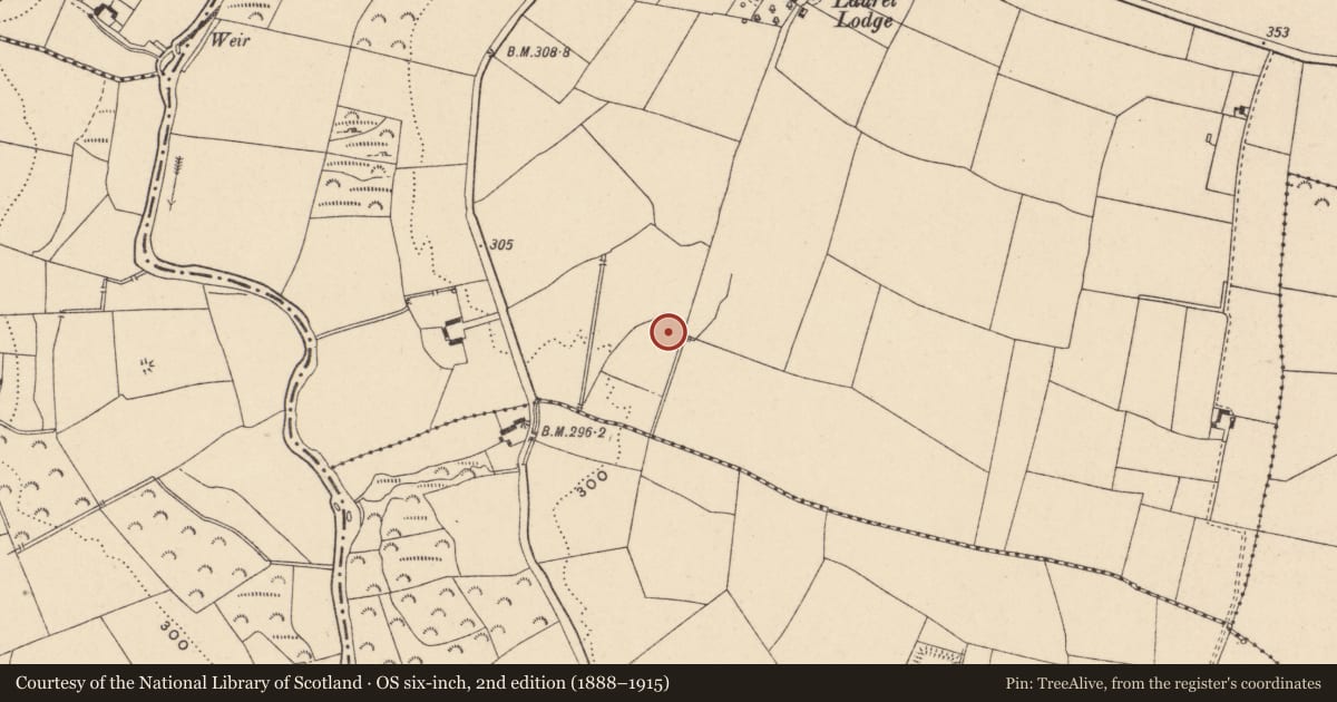 Ordnance Survey six-inch map, 2nd edition (1888–1915) covering the location of Enclosure, Downings, County Carlow, with a pin at the register's coordinates