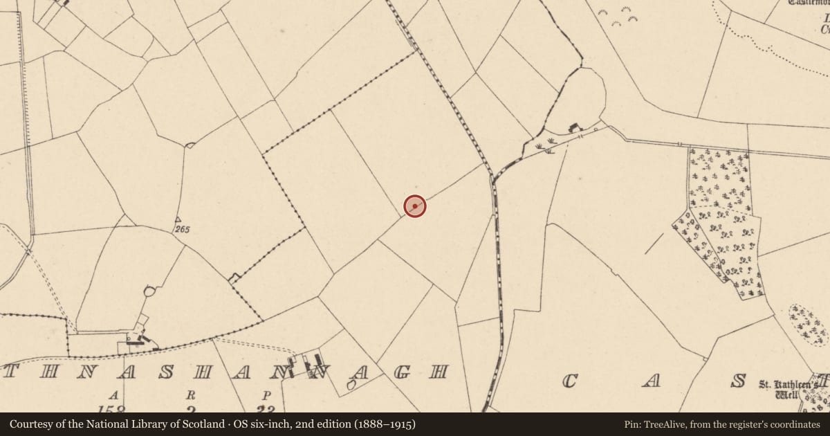 Ordnance Survey six-inch map, 2nd edition (1888–1915) covering the location of Enclosure, Rathnashannagh, County Carlow, with a pin at the register's coordinates