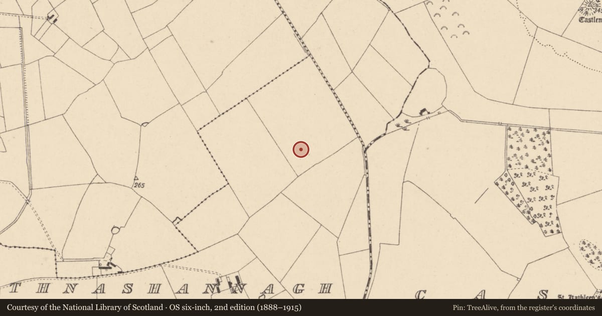 Ordnance Survey six-inch map, 2nd edition (1888–1915) covering the location of Enclosure, Rathnashannagh, County Carlow, with a pin at the register's coordinates