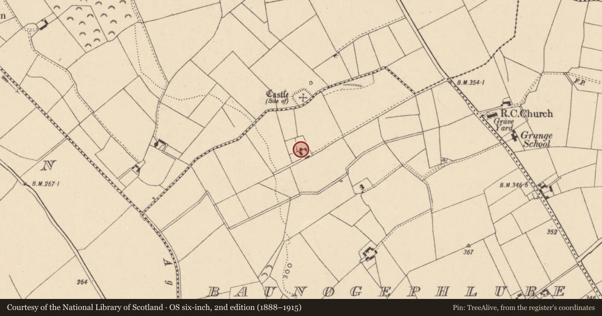Ordnance Survey six-inch map, 2nd edition (1888–1915) covering the location of Moated site, Baunogephlure, County Carlow, with a pin at the register's coordinates
