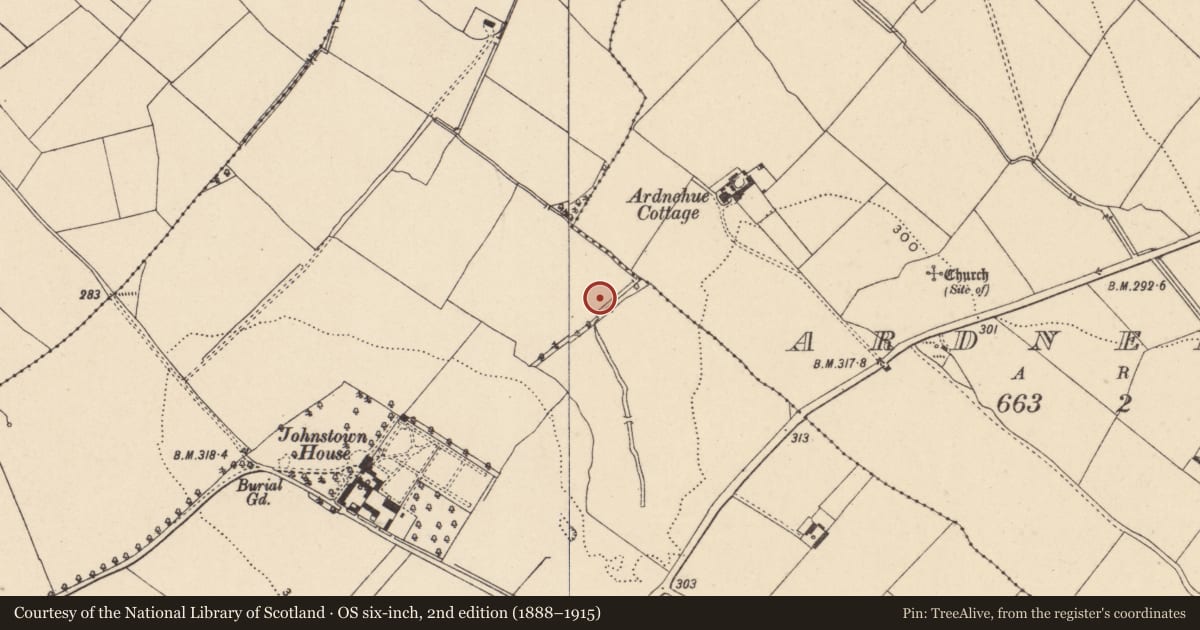 Ordnance Survey six-inch map, 2nd edition (1888–1915) covering the location of Fulacht fia, Johnstown, County Carlow, with a pin at the register's coordinates
