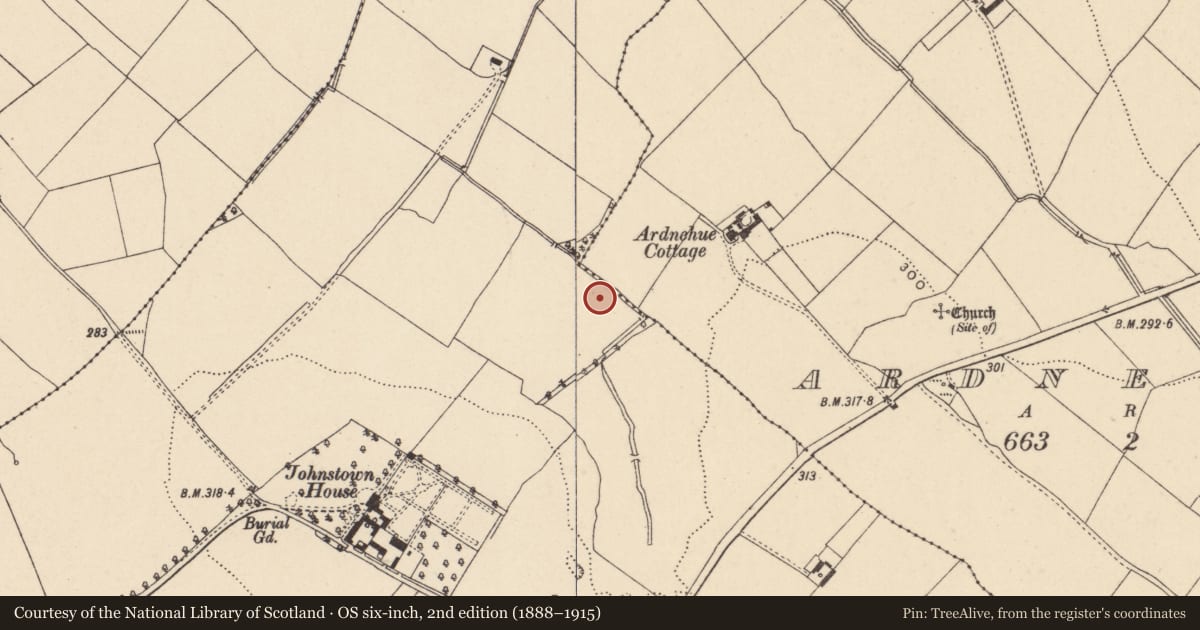 Ordnance Survey six-inch map, 2nd edition (1888–1915) covering the location of Burnt mound, Johnstown, County Carlow, with a pin at the register's coordinates