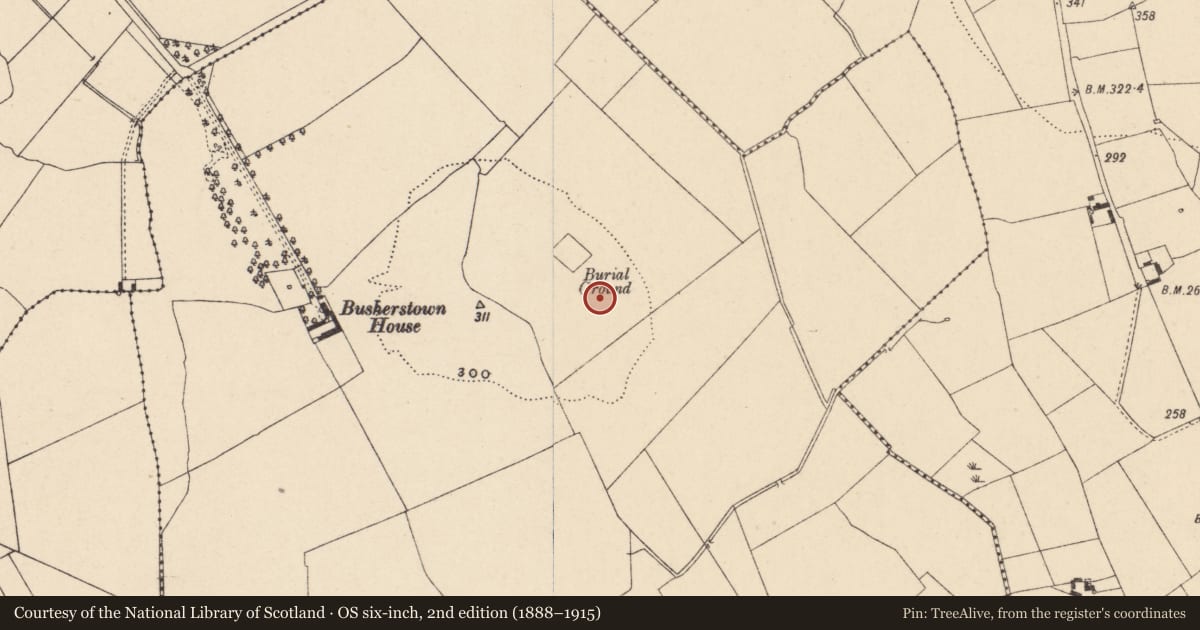 Ordnance Survey six-inch map, 2nd edition (1888–1915) covering the location of Enclosure, Busherstown, County Carlow, with a pin at the register's coordinates