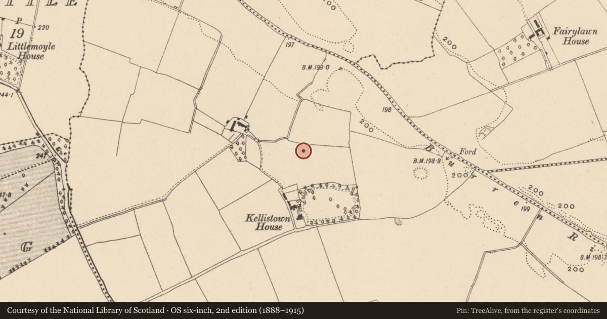 Ordnance Survey six-inch map, 2nd edition (1888–1915) covering the location of Enclosure, Kellistown East, County Carlow, with a pin at the register's coordinates