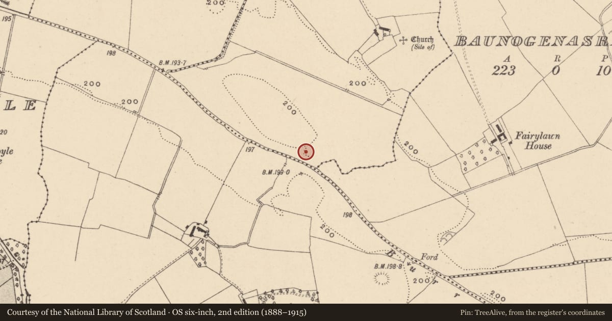 Ordnance Survey six-inch map, 2nd edition (1888–1915) covering the location of Enclosure, Killenora, County Carlow, with a pin at the register's coordinates