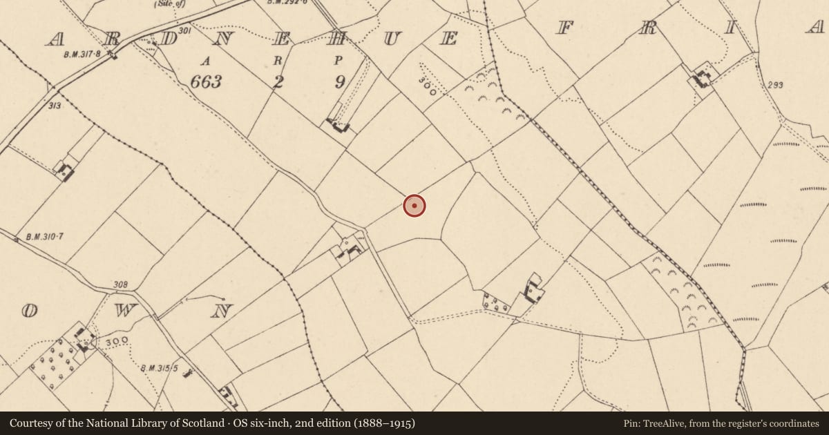 Ordnance Survey six-inch map, 2nd edition (1888–1915) covering the location of Enclosure, Ardnehue, County Carlow, with a pin at the register's coordinates