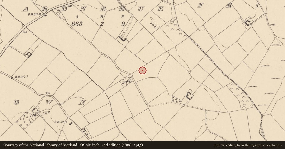Ordnance Survey six-inch map, 2nd edition (1888–1915) covering the location of Enclosure, Ardnehue, County Carlow, with a pin at the register's coordinates