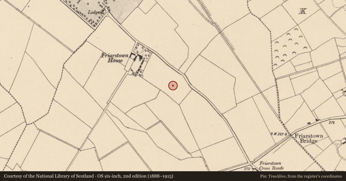 Ordnance Survey six-inch map, 2nd edition (1888–1915) covering the location of Ring-ditch, Friarstown, County Carlow, with a pin at the register's coordinates
