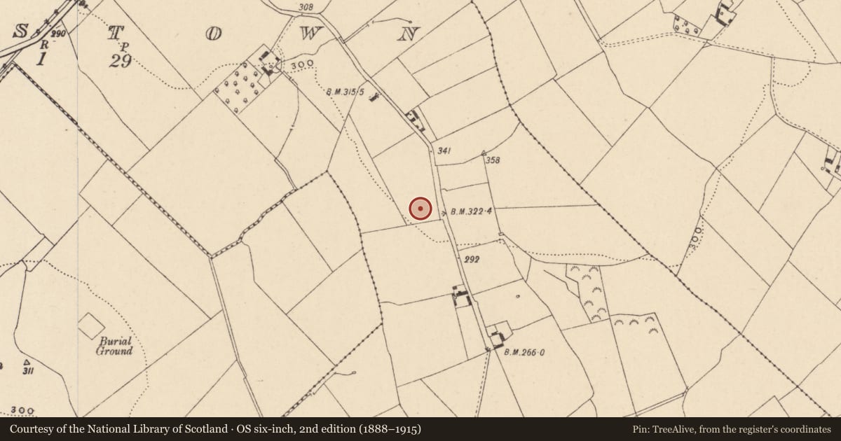 Ordnance Survey six-inch map, 2nd edition (1888–1915) covering the location of Enclosure, Johnstown, County Carlow, with a pin at the register's coordinates