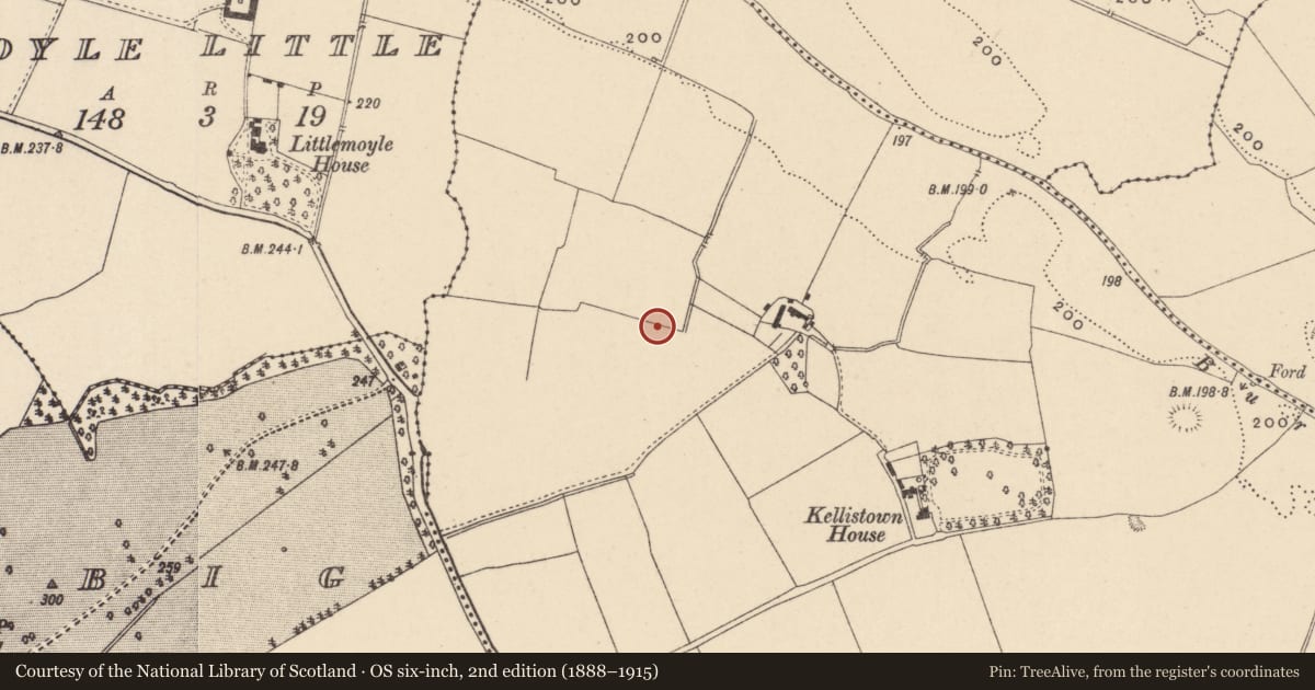 Ordnance Survey six-inch map, 2nd edition (1888–1915) covering the location of Enclosure, Kellistown East, County Carlow, with a pin at the register's coordinates