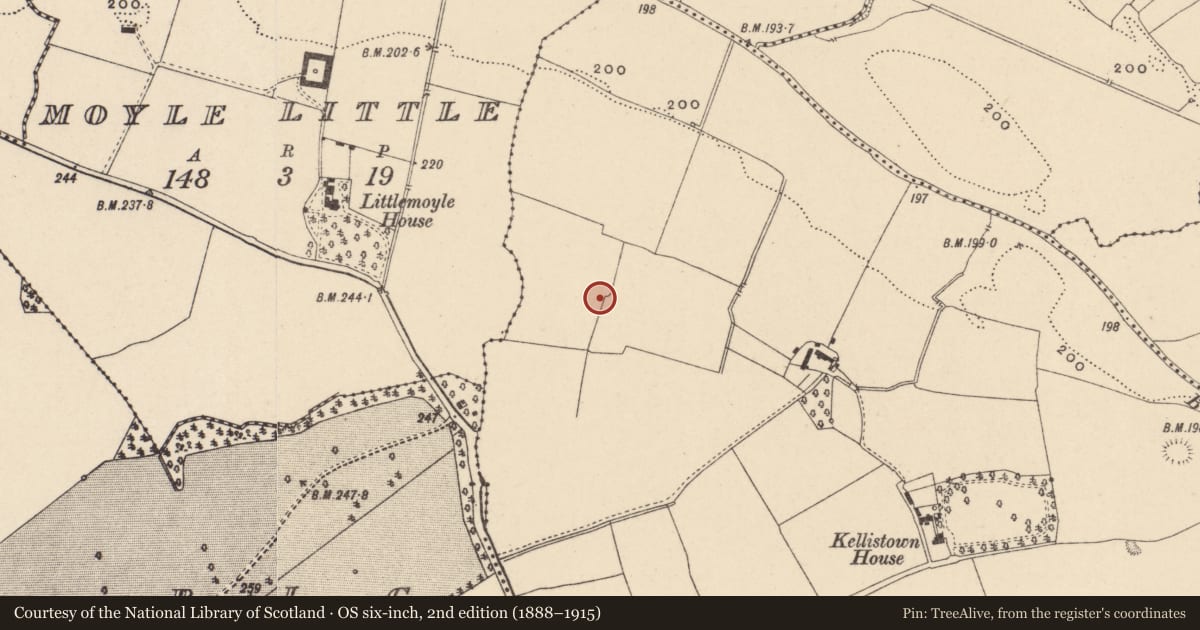 Ordnance Survey six-inch map, 2nd edition (1888–1915) covering the location of Moated site, Kellistown East, County Carlow, with a pin at the register's coordinates
