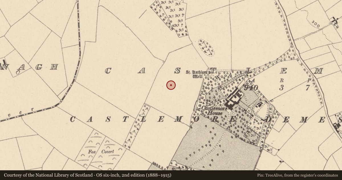 Ordnance Survey six-inch map, 2nd edition (1888–1915) covering the location of Enclosure, Castlemore, County Carlow, with a pin at the register's coordinates