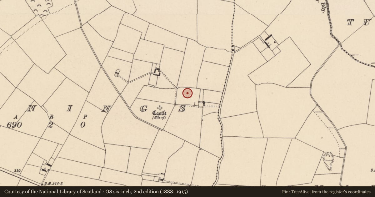 Ordnance Survey six-inch map, 2nd edition (1888–1915) covering the location of Enclosure, Downings, County Carlow, with a pin at the register's coordinates
