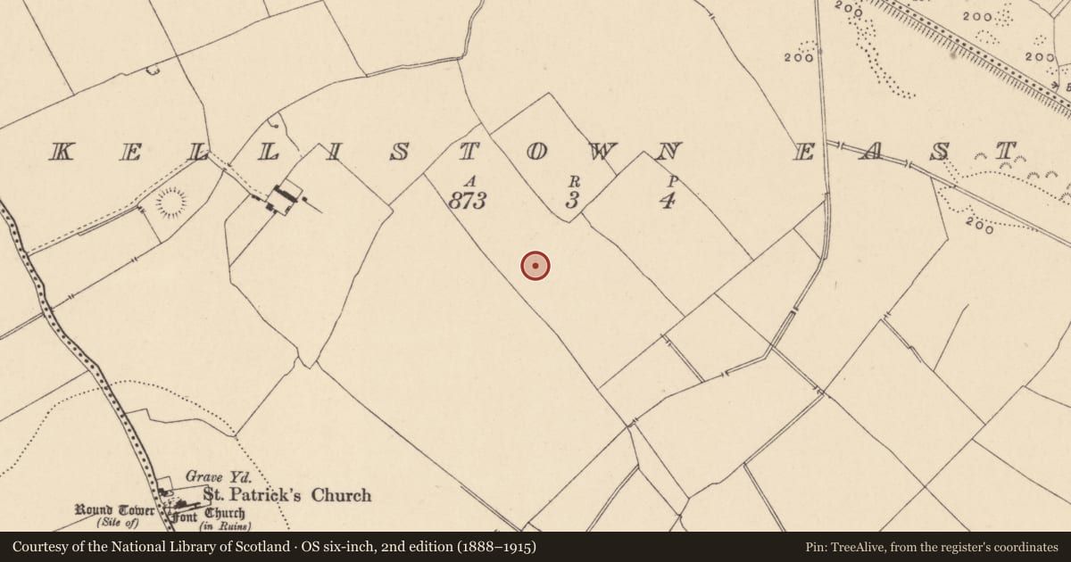 Ordnance Survey six-inch map, 2nd edition (1888–1915) covering the location of Enclosure, Kellistown East, County Carlow, with a pin at the register's coordinates