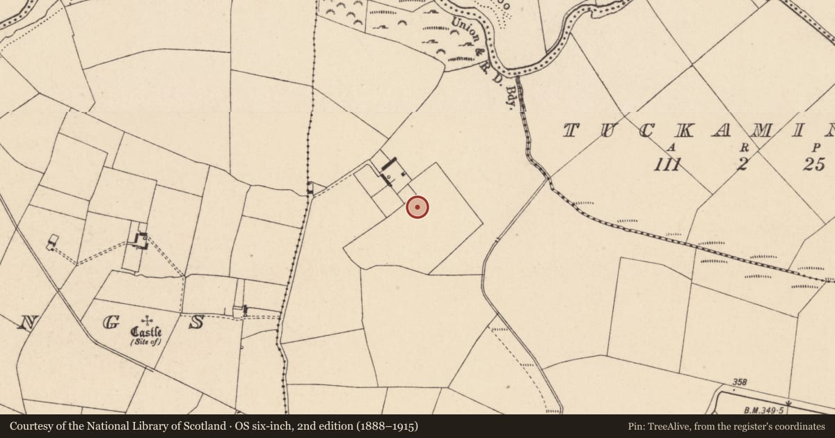 Ordnance Survey six-inch map, 2nd edition (1888–1915) covering the location of Enclosure, Kilmagarvoge, County Carlow, with a pin at the register's coordinates