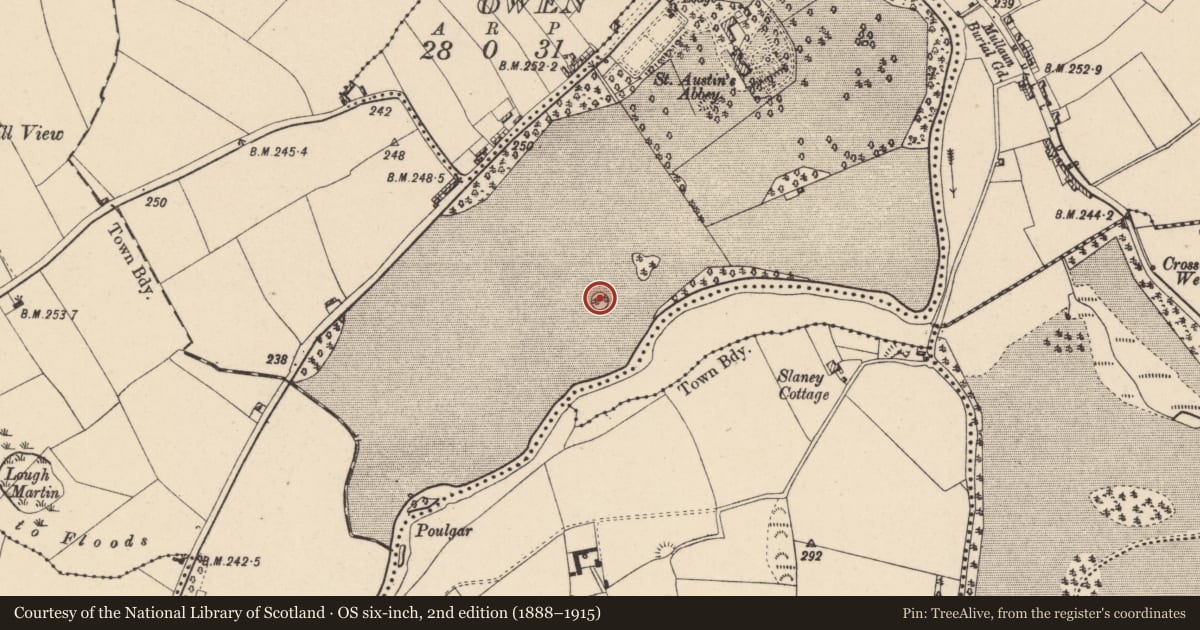 Ordnance Survey six-inch map, 2nd edition (1888–1915) covering the location of Designed landscape - tree-ring, Tullowbeg, County Carlow, with a pin at the register's coordinates