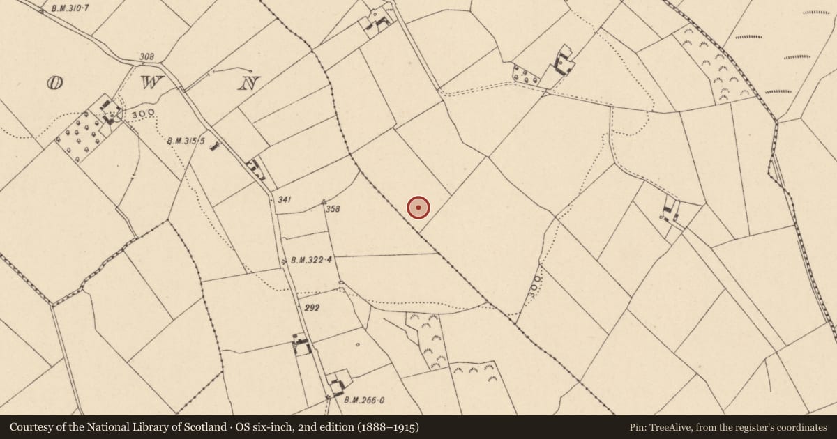 Ordnance Survey six-inch map, 2nd edition (1888–1915) covering the location of Enclosure, Ardnehue, County Carlow, with a pin at the register's coordinates