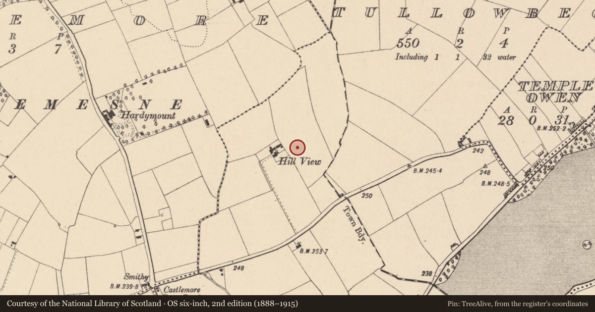 Ordnance Survey six-inch map, 2nd edition (1888–1915) covering the location of Enclosure, Tullowbeg, County Carlow, with a pin at the register's coordinates