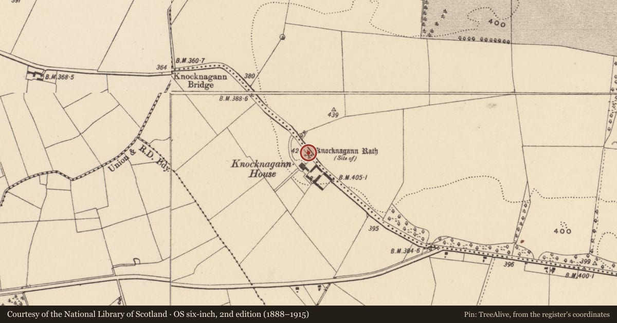 Ordnance Survey six-inch map, 2nd edition (1888–1915) covering the location of Earthwork, Lisnevagh, Tobinstown, County Carlow, with a pin at the register's coordinates