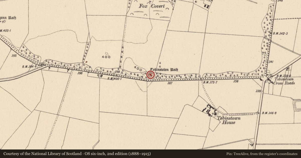 Ordnance Survey six-inch map, 2nd edition (1888–1915) covering the location of Ringfort - rath, Lisnevagh, County Carlow, with a pin at the register's coordinates