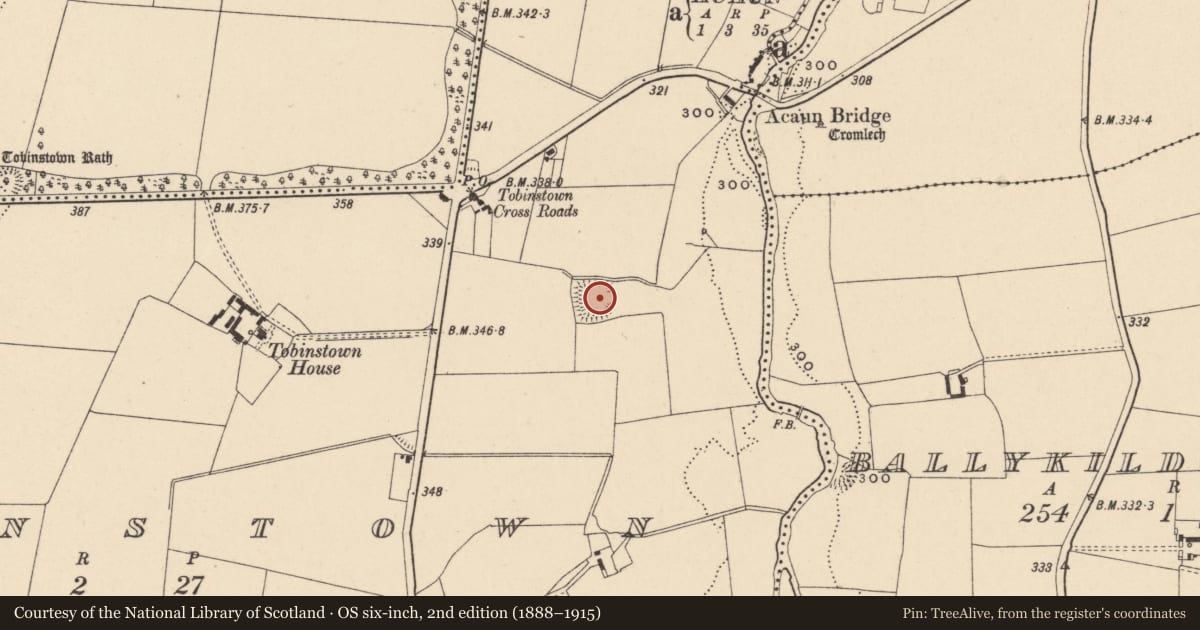 Ordnance Survey six-inch map, 2nd edition (1888–1915) covering the location of Moated site, Tobinstown, County Carlow, with a pin at the register's coordinates