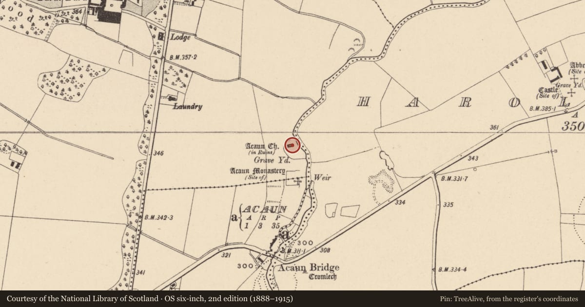 Ordnance Survey six-inch map, 2nd edition (1888–1915) covering the location of Church, Lisnevagh, County Carlow, with a pin at the register's coordinates
