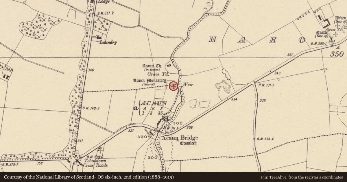 Ordnance Survey six-inch map, 2nd edition (1888–1915) covering the location of Religious house - Augustinian friars, Lisnevagh, Tobinstown, County Carlow, with a pin at the register's coordinates